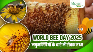 World Bee Day 2025: प्रकृति के सबसे महत्वपूर्ण इंजीनियर मधुमक्खियों के बिना धरती की कल्पना अधूरी