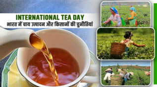 International Tea Day : भारत की चाय-एक सुगंधित विरासत जो दुनिया को लुभा रही है! लेकिन किसानों की सामने चुनौतियां भी