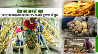 India's Largest Frozen Potato Processing Plant : आलू किसानों को मिलेगा फायदा, बढ़ेगी रोज़गार की संभावनाएं