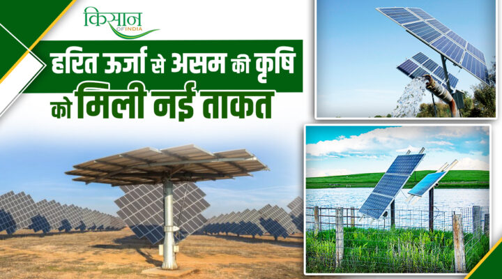 Solar Energy Gift For Farmers Of Assam : 500 सोलर पंपों से बदलेगी असम के किसानों की तकदीर!
