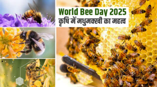 World Bee Day 2025: क्यों हैं मधुमक्खियां किसानों की सच्ची दोस्त? मधुमक्खी पालन में सफलता की कहानियां और सरकारी योजनाएं