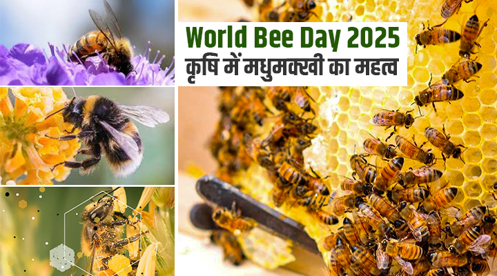 World Bee Day 2025: क्यों हैं मधुमक्खियां किसानों की सच्ची दोस्त? मधुमक्खी पालन में सफलता की कहानियां और सरकारी योजनाएं
