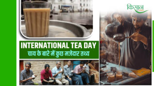 International Tea Day : चाय की महक से जुड़ी अनोखी दास्तां, जानें एक प्याली में छुपी कितनी बड़ी अर्थव्यवस्था