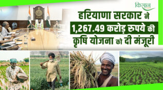Pradhan Mantri Rashtriya Krishi Vikas Yojana : हरियाणा कृषि क्रांति से 267 करोड़ की योजना, किसानों की आमदनी बढ़ाने की तैयारी