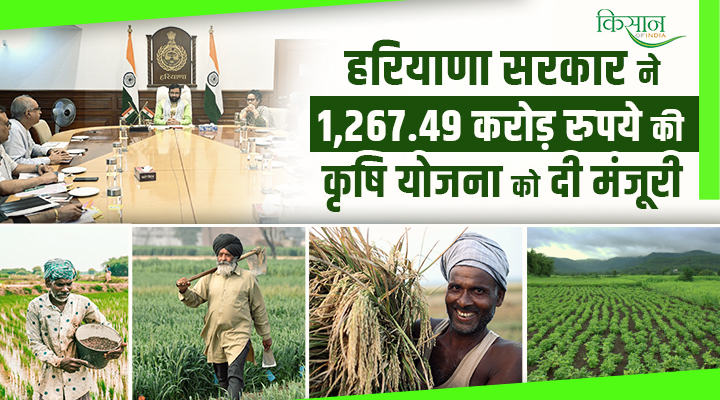 Pradhan Mantri Rashtriya Krishi Vikas Yojana : हरियाणा कृषि क्रांति से 267 करोड़ की योजना, किसानों की आमदनी बढ़ाने की तैयारी