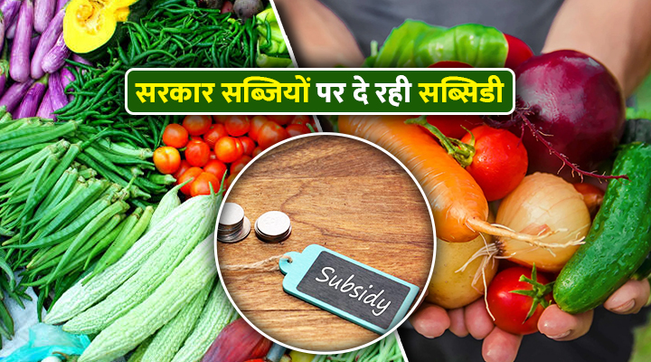 Subsidy In Vegetable Farming: बिहार सरकार दे रही सब्जियों की खेती पर 75 फ़ीसदी सब्सिडी, जानें कैसे मिलेगा लाभ?