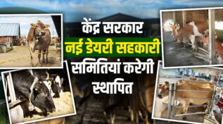 White Revolution 2.0 : गोबर से लेकर मृत पशुओं तक, अब सहकारी समितियां बदलेंगी डेयरी क्षेत्र का गेम