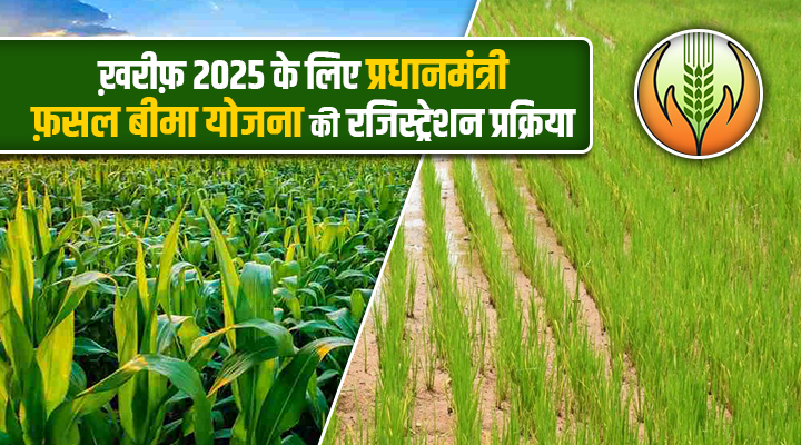 PMFBY प्रधानमंत्री फ़सल बीमा योजना