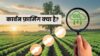 What Is Carbon Farming भारत में कार्बन फ़ार्मिंग