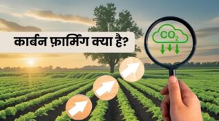 What Is Carbon Farming भारत में कार्बन फ़ार्मिंग