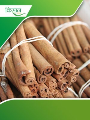 cinnamon Cover