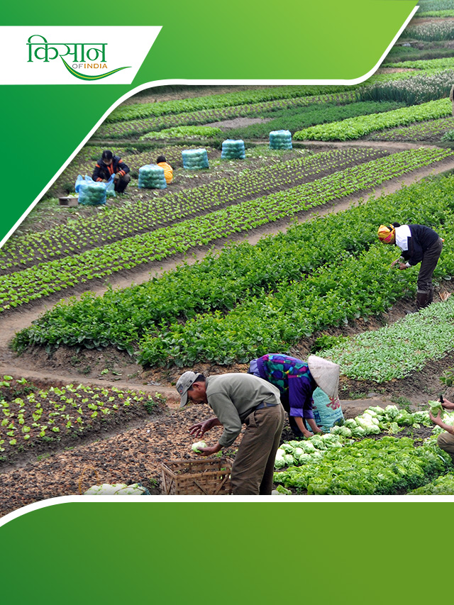 किसान Natural Farming के लिए दे सकेंगे अब स्वैच्छिक प्रमाण पत्र