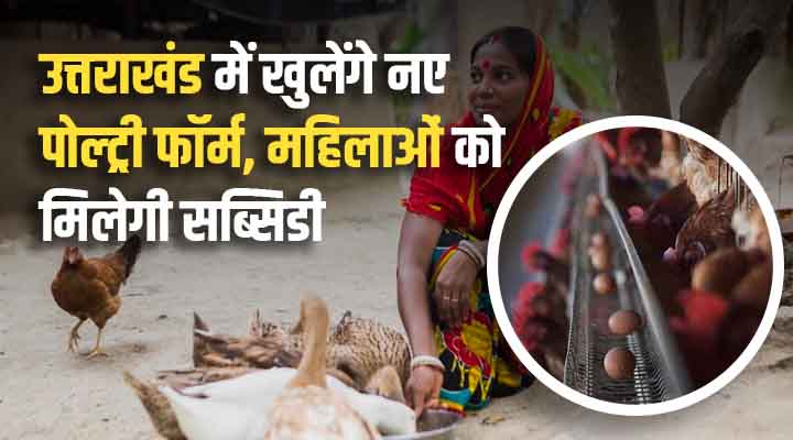 Uttarakhand's New Poultry Policy : अंडे-मुर्गी से आत्मनिर्भरता की ओर बढ़ता देवभूमि! महिलाओं को प्राथमिकता