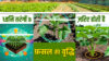 ध्वनि आधारित खेती Acoustic Agriculture