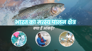 भारत का मछली पालन क्षेत्र (Fisheries Sector)