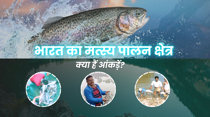 भारत का मछली पालन क्षेत्र (Fisheries Sector)