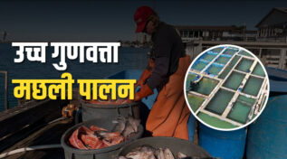 Blue Revolution: समुद्र में Sea Cage Farming से उच्च गुणवत्ता वाली मछलियों का उत्पादन, कम लागत, ज्यादा मुनाफा