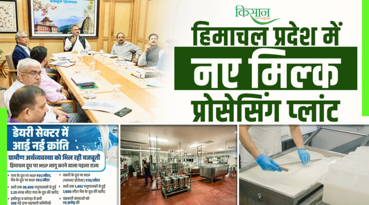 Dairy Revolution In Himachal Pradesh: किसानों की आमदनी बढ़ाने के लिए सीएम सुक्खू का डेयरी सेक्टर के लिए बड़ा ऐलान