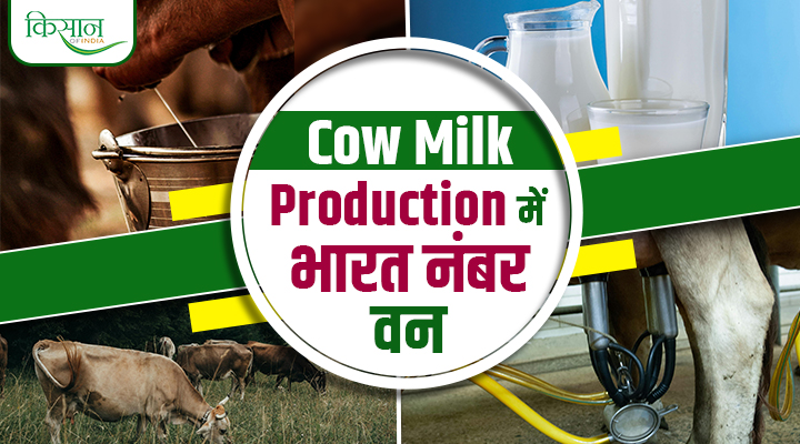 India Becomes World's Largest Cow Milk Producer : भारत बना विश्व का सबसे बड़ा गाय के दूध का उत्पादक!