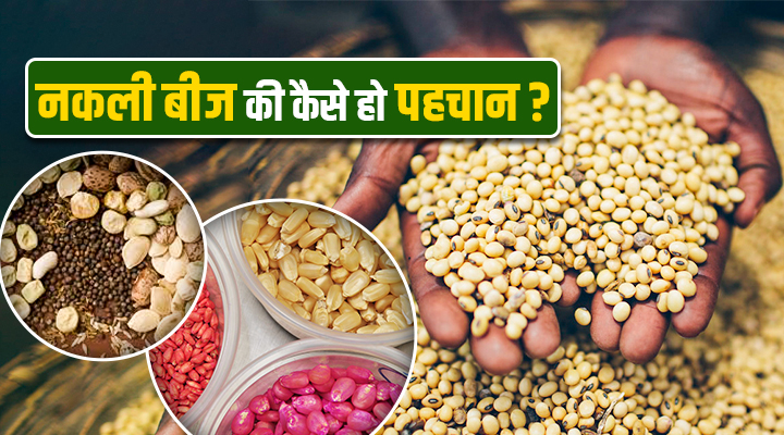 How To Identify Fake Seeds: नकली बीजों की पहचान कैसे करें? किसानों के लिए ज़रूरी गाइड