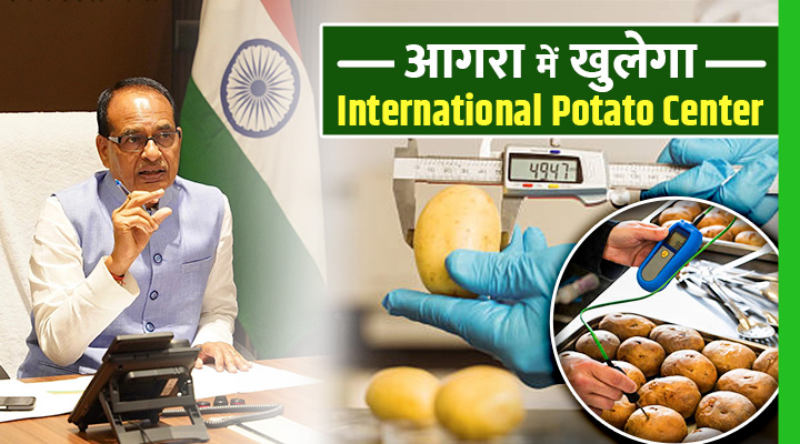 International Potato Center To Be Built In Agra: आगरा के किसानों को मिलेगी हाईटेक आलू की किस्में, बढ़ेगा निर्यात