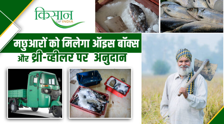 Mukhyamantri Machhua Kalyan Yojana: मुख्यमंत्री मछुआ कल्याण योजना है बिहार के मछुआरों के लिए सुनहरा अवसर, जानिए पूरी डीटेल