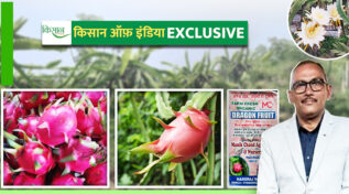 हंसराज नखत: बिहार के वो पायनियर किसान जो Organic Farming से ड्रैगन फ्रूट की खेती कर बने मिसाल