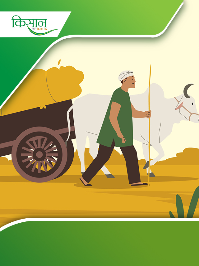 Market Intervention Scheme के ज़रिए किसानों को मिलेगा लाभ
