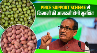 Price Support Scheme (PSS) मूल्य समर्थन योजना