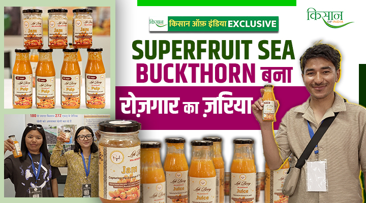 Sea Buckthorn सी-बकथॉर्न