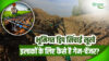 Subsurface Drip Irrigation भूमिगत ड्रिप सिंचाई