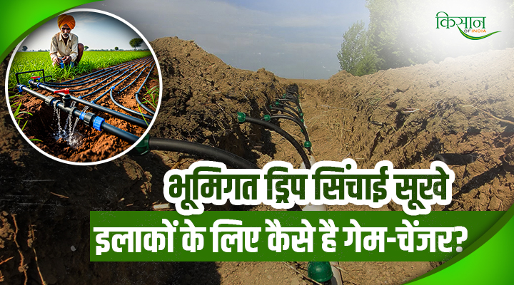 Subsurface Drip Irrigation भूमिगत ड्रिप सिंचाई