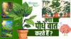 Volatile Organic Compounds (VOCs) वाष्पशील कार्बनिक यौगिक