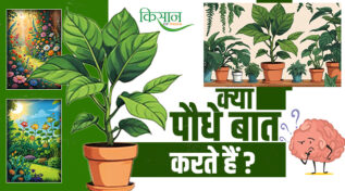 Volatile Organic Compounds (VOCs) वाष्पशील कार्बनिक यौगिक