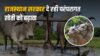 राजस्थान सरकार की बड़ी घोषणा: बैलों से खेती करने वाले किसानों को मिलेंगे 30 हजार रुपये, जानें कैसे उठाएं लाभ