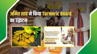 National Turmeric Board Inaugurated: किसानों को मिली बिचौलियों से मुक्ति, अब दुनियाभर में धाक जमाएगी 'निज़ामाबाद की हल्दी'