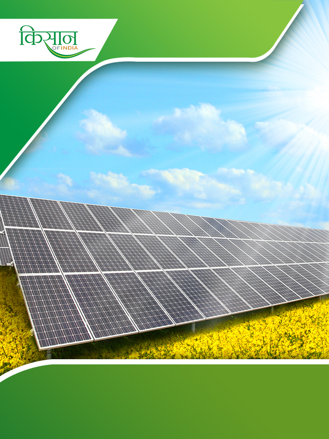 दिल्ली सरकार दे रही Solar Panel पर सब्सिडी, इस तरह उठाएं लाभ