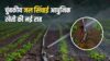 चुंबकीय जल सिंचाई magnetic water irrigation