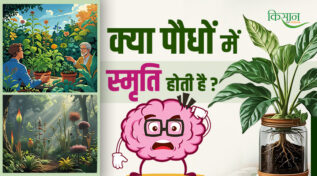 प्लांट एपिजेनेटिक्स Plant Epigenetics