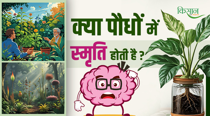 प्लांट एपिजेनेटिक्स Plant Epigenetics
