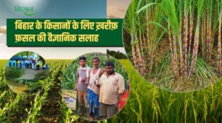 बिहार के किसानों के लिए खरीफ फसल संबंधी सलाह Kharif crop advisory for bihar farmers