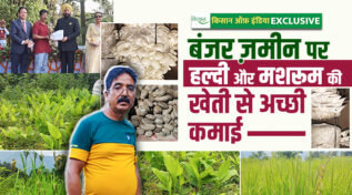 हल्दी की खेती और मशरूम की खेती Turmeric and mushroom farming