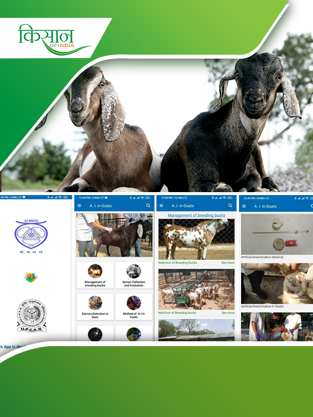 ICAR ने बनाया बकरियों के लिए AI आधारित Smartphone App