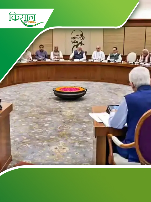 जानिए क्या है  प्रधानमंत्री धन-धान्य कृषि योजना है? कैसे किसानों के लिए है फ़ायदेमंद