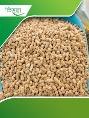 Animal-based feed