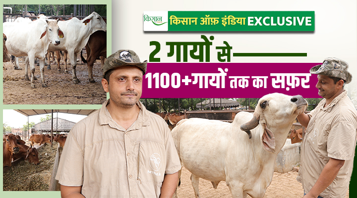 Aseem Rawat Hetha Dairy Journey