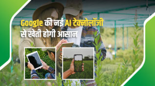Google's AI Revolution: भारतीय किसानों के लिए खुशख़बरी, AMED API नया डिजिटल साथी