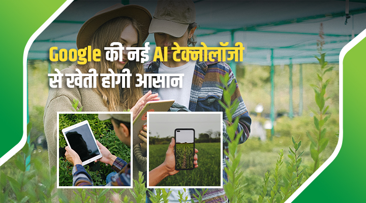 Google's AI Revolution: भारतीय किसानों के लिए खुशख़बरी, AMED API नया डिजिटल साथी