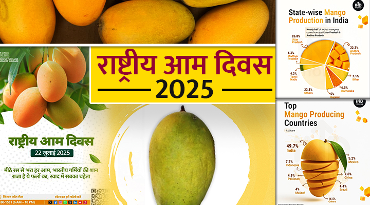 National Mango Day 2025: जानिए क्यों है आम 'फलों का राजा'? अद्भुत फायदे और हैरान करने वाले फैक्ट्स जानें