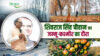 Shivraj Singh Chouhan's Visit To Jammu And Kashmir: केसर उत्पादन से लेकर क्लीन प्लांट सेंटर तक केंद्र सरकार बदलेगी किसानों की तकदीर!